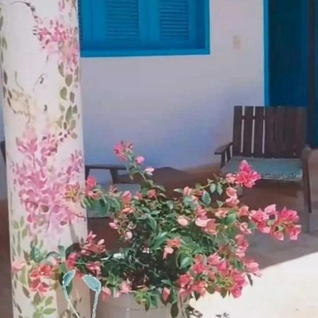 Recidencial Vila Pura Vida 卡诺格布拉达 外观 照片