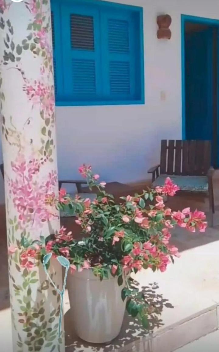 Recidencial Vila Pura Vida 卡诺格布拉达 外观 照片